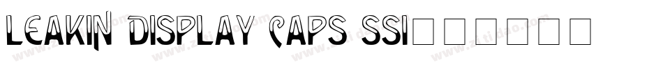 Leakin Display Caps SSi字体转换